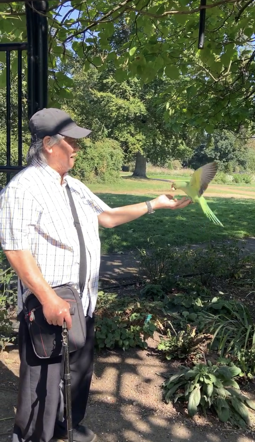 mobility and stability in the elderly_man feeding parokeet
